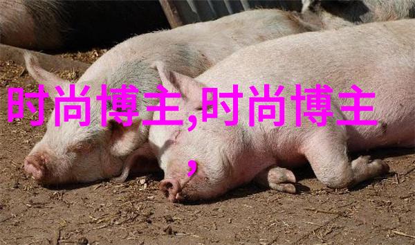 男士时尚搭配艺术从基本原则到个性表达