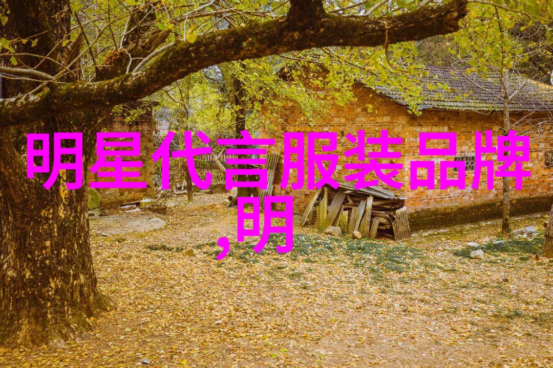 探索豪华保时捷Cayenne的奢华与科技