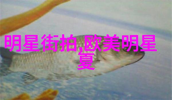 男男车车好快的刺激汽车秀高速公路上的男子驾驶挑战