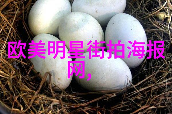千山看斜阳总结探索生命之美与孤寂的交响