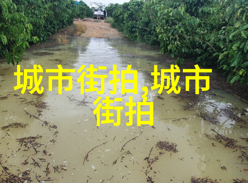 明星外套穿搭技巧全解析