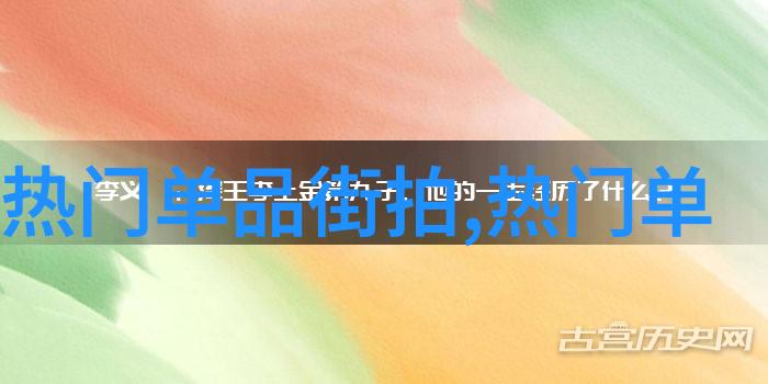 从镜子里看我怎么C你视频八零-镜中反射的游戏解密网络迷局