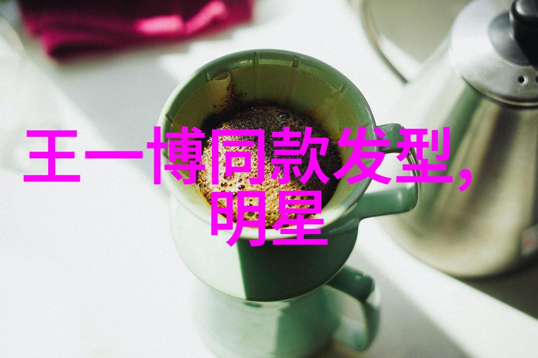 政府专用车队的升级与现代化转型