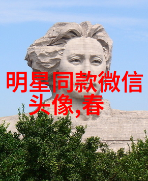 俄罗斯Zoom人与Zoom牛一个文化交融的奇幻故事
