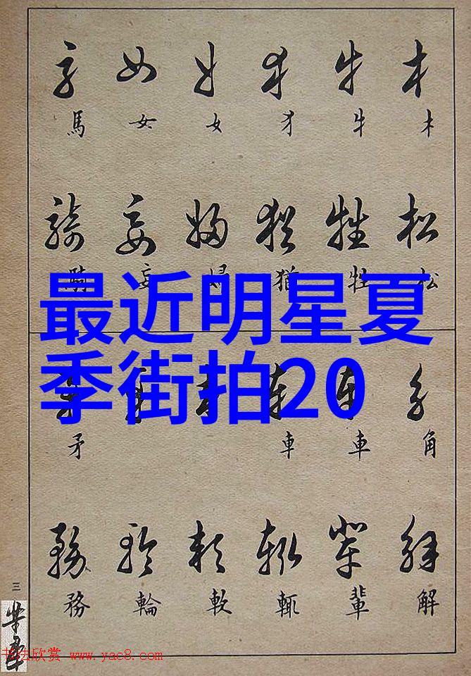 即将消逝的记忆录记录那些濒临忘却的人和事物