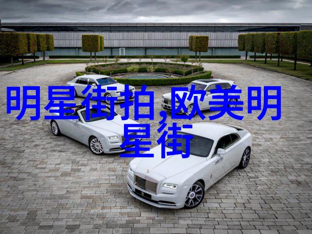 闪耀红毯明星时尚搭配艺术的绚烂盛宴