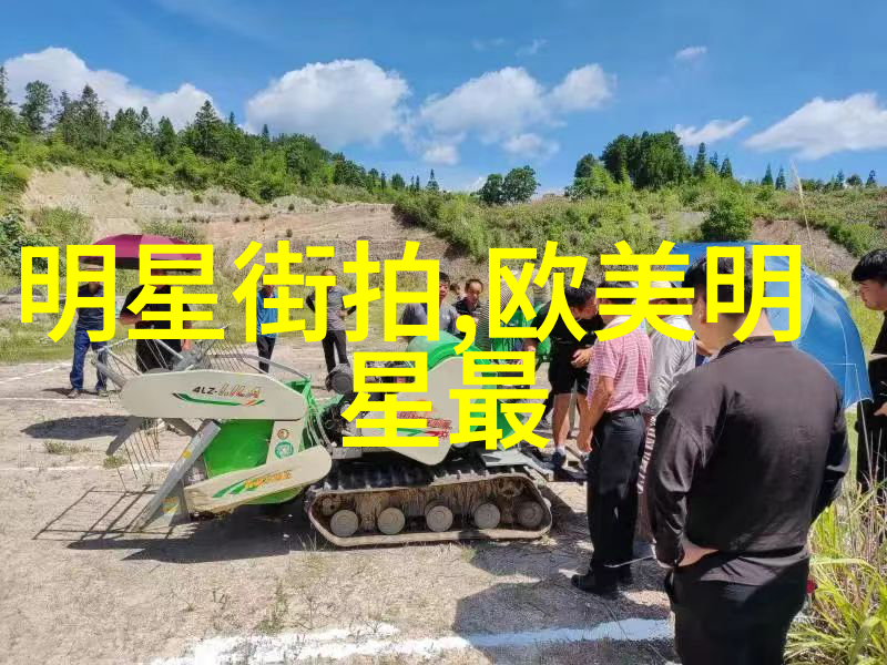 继承家族荣耀嫡女的成长与挑战