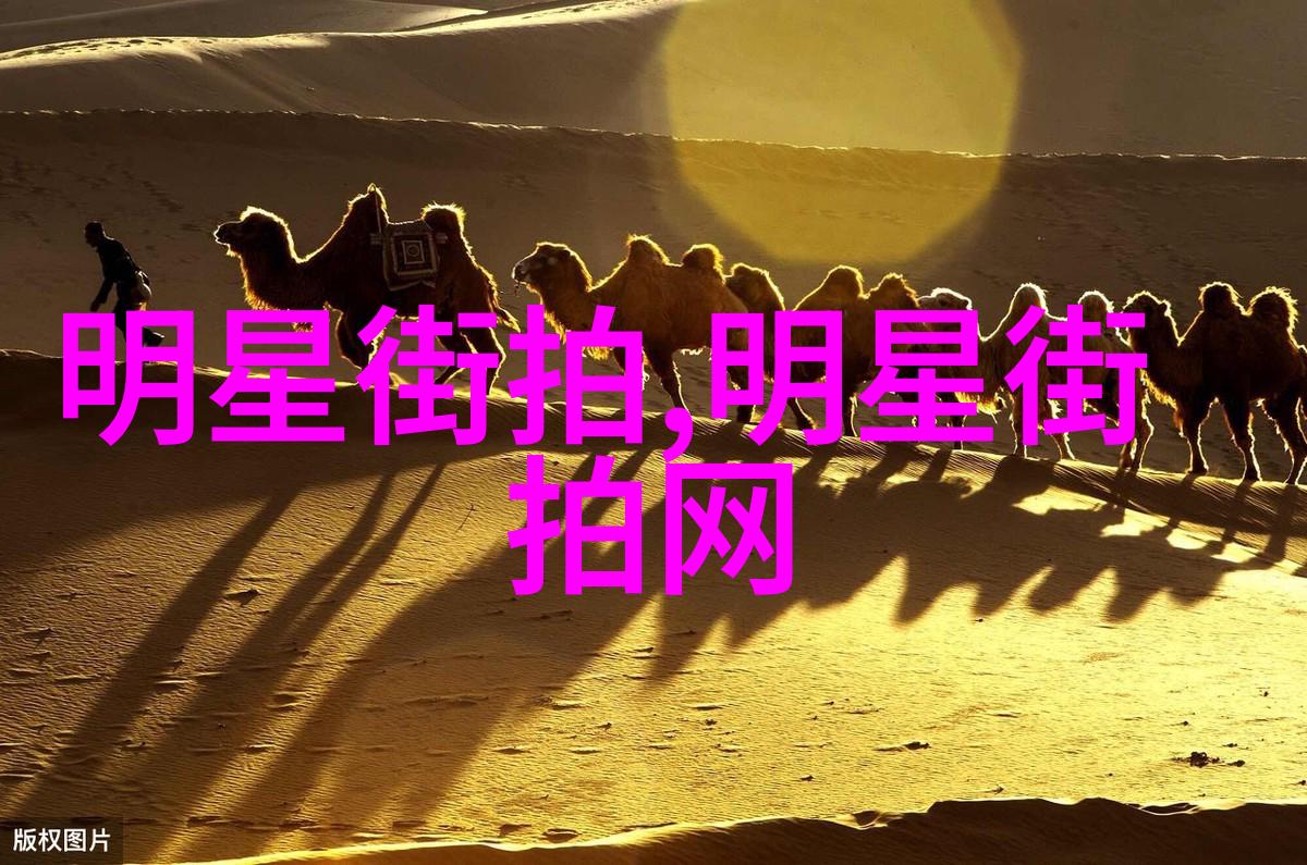 风流丑男传说揭秘古典小说中的迷人魅力