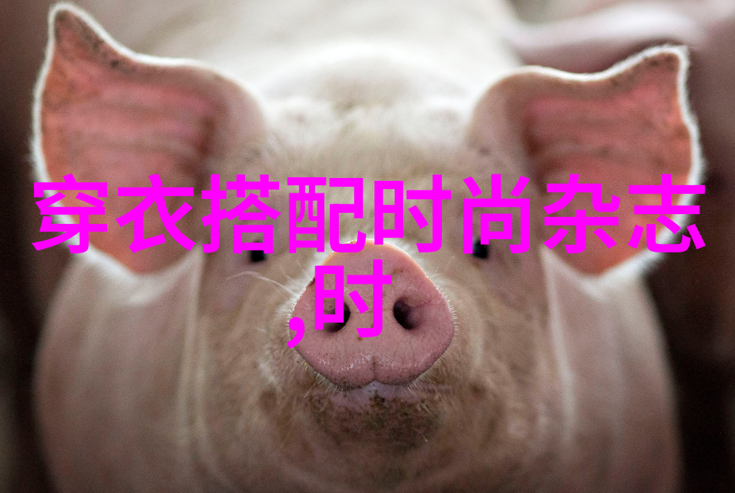 视频盛宴探索大肉大捧一进一出的魅力
