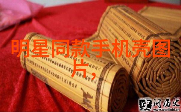 美丽如画的家园探索姐姐真漂亮5中的家庭与爱情故事