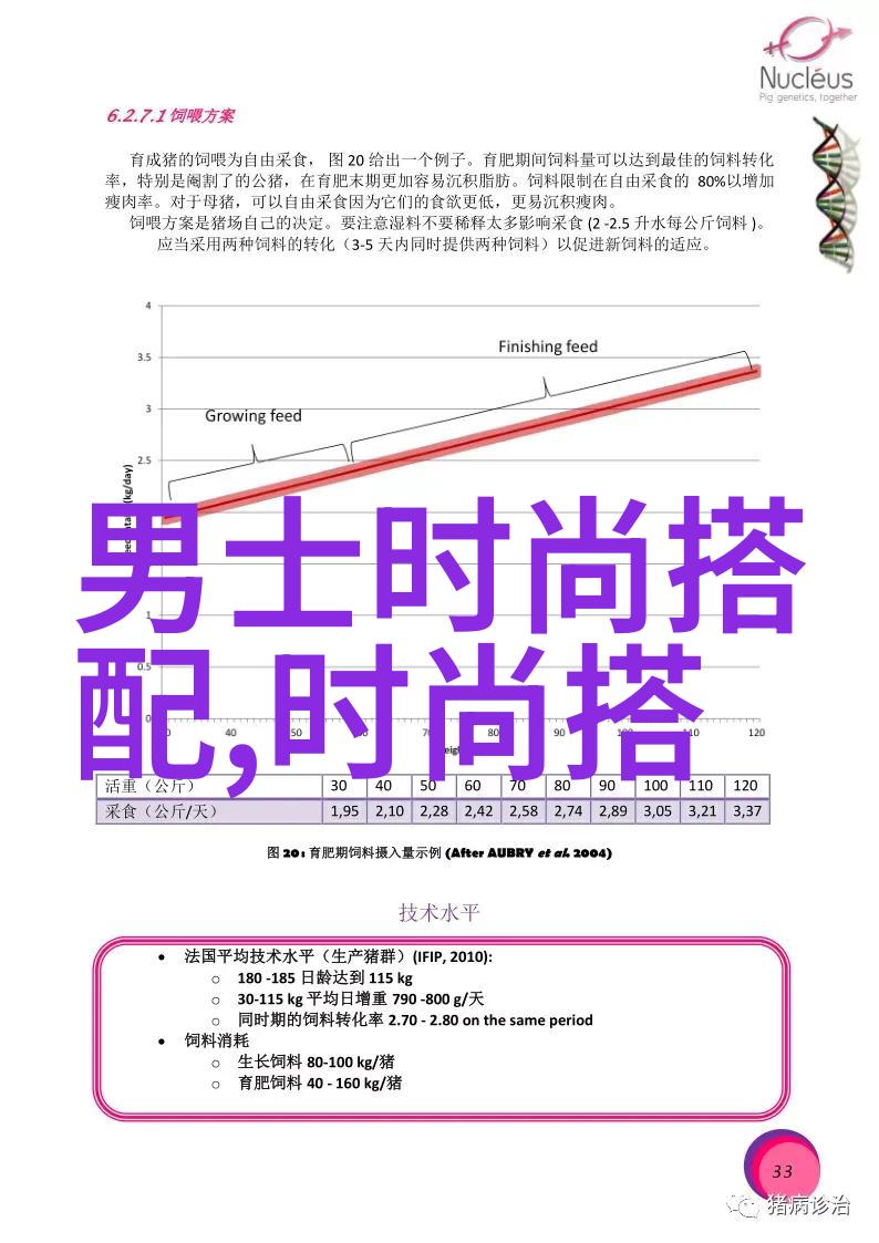 美丽的他总结追逐梦想与爱情的交错之旅
