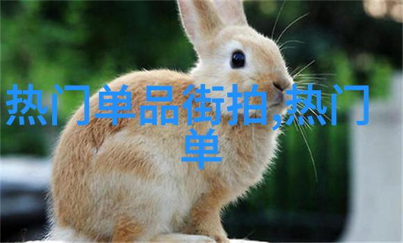 时尚穿衣搭配 - 色彩对比与风格融合打造完美的时尚搭配艺术