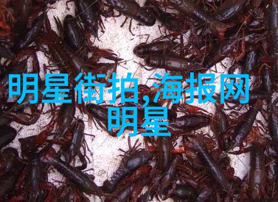 星光闪耀的同款探秘