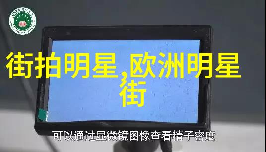 明星合影照闪耀的时尚前沿