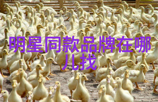 家具与家居的意思我的家就是我最好的证明