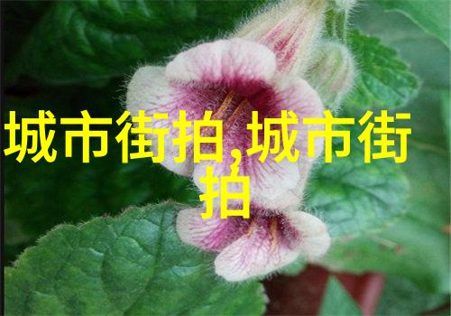 扶摇皇后云端下的权谋与爱情纠葛