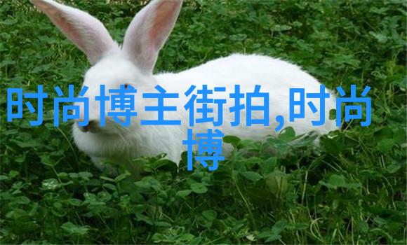 创意碰撞一起噜动画的草根视频艺术探索