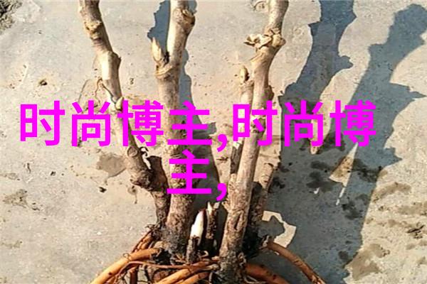 夏日游影淑妃轻舟下琉璃桥
