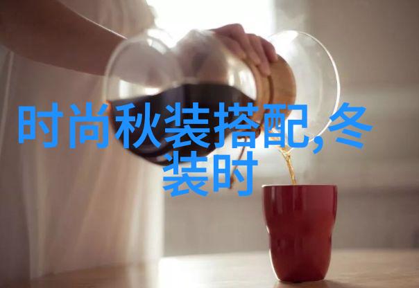 重生之最佳再婚 - 爱情的二次启动追逐幸福的新篇章
