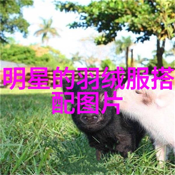 明星街头秀韩国流行文化的缩影