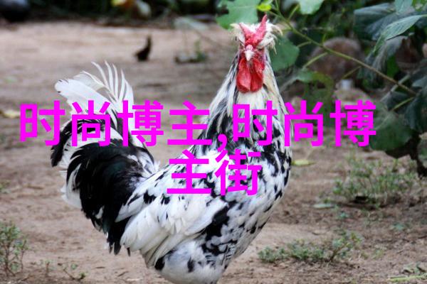 时尚博主我的穿搭小秘籍如何让每一天都像模特儿一样亮相街头