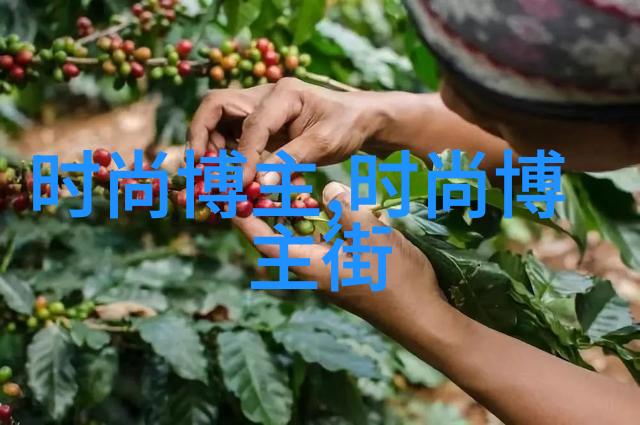 夏日出行时尚攻略轻盈舒适衣物推荐