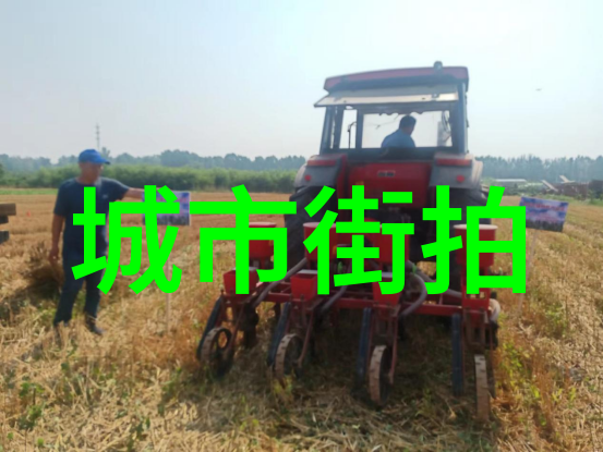 街头星光追逐明星的瞬间与风采