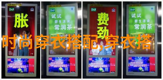 穿越宫廷的女人皇妃成长之路