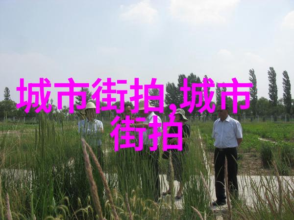 少爷太胡来-少爷的荒唐岁月从不羁到自食其果