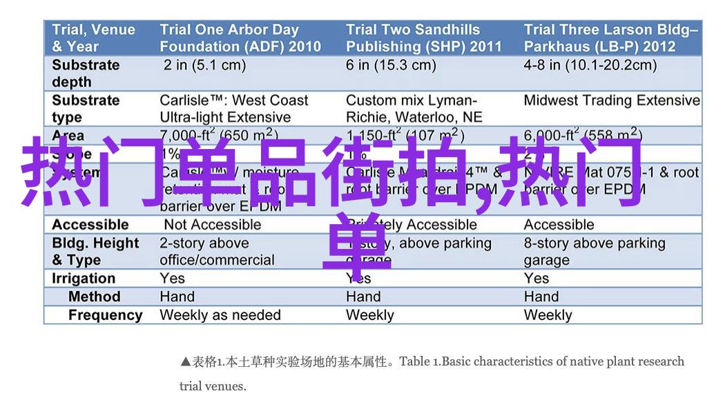 美丽姑娘的故事