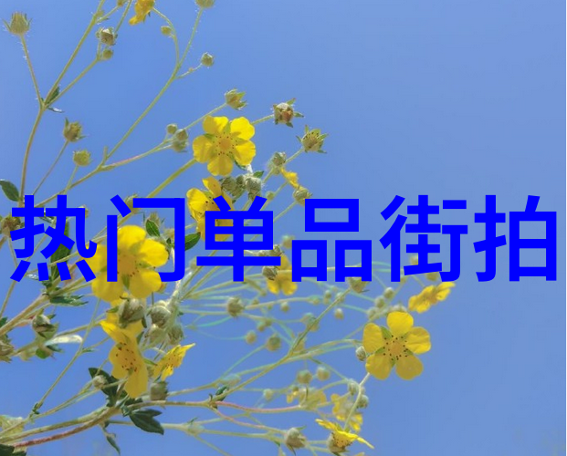 欧美明星街拍海报网揭秘街头时尚与明星魅力的