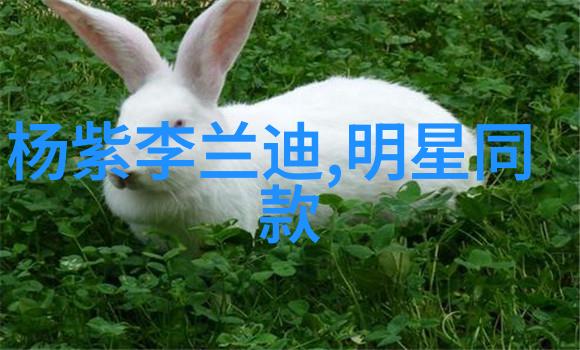 潮流风向标热门单品街拍时尚秀