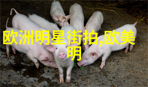 日本ZLJZLJ喷我在日本遇见了最难忘的喷泉之旅