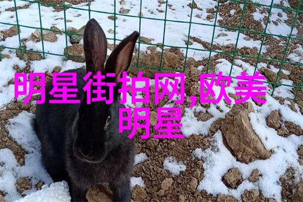 160女生的时尚穿搭技巧时尚达人