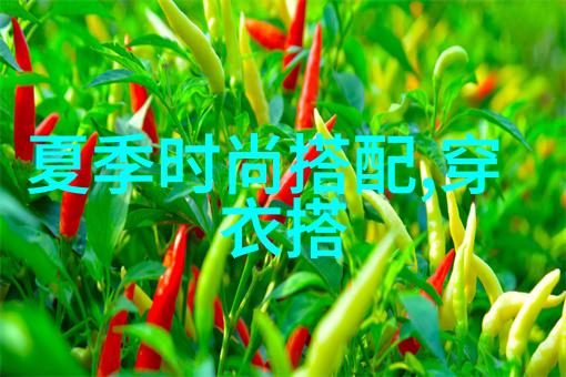 时尚博主街拍城市时尚达人的街头潮流穿搭
