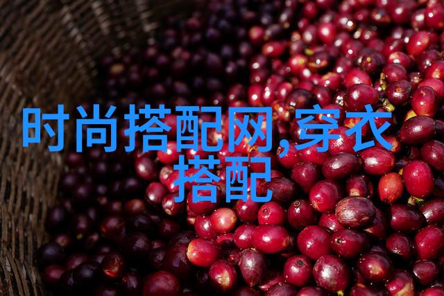 王亮李晨李美诗全集免费阅读文学作品的深度解读与文化价值