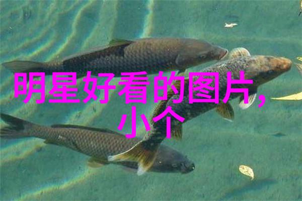 月圆月缺惊现新剧照村架纯探访目黑莲的神秘独居屋两人的视频免费观看bd让你亲历片中精彩瞬间