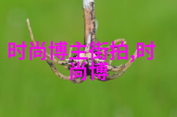 (明星同款时尚潮流)火箭少女101时尚穿