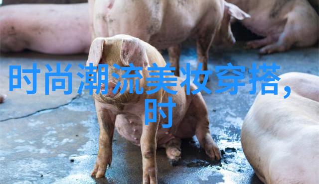 老师上课突然把跳D开到最大视频我是不是看错了