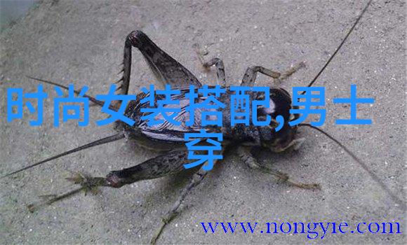 法拉利F12Berlinetta十代雅阁的超跑灵感