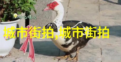草莓之恋女人迈开腿的甜蜜故事