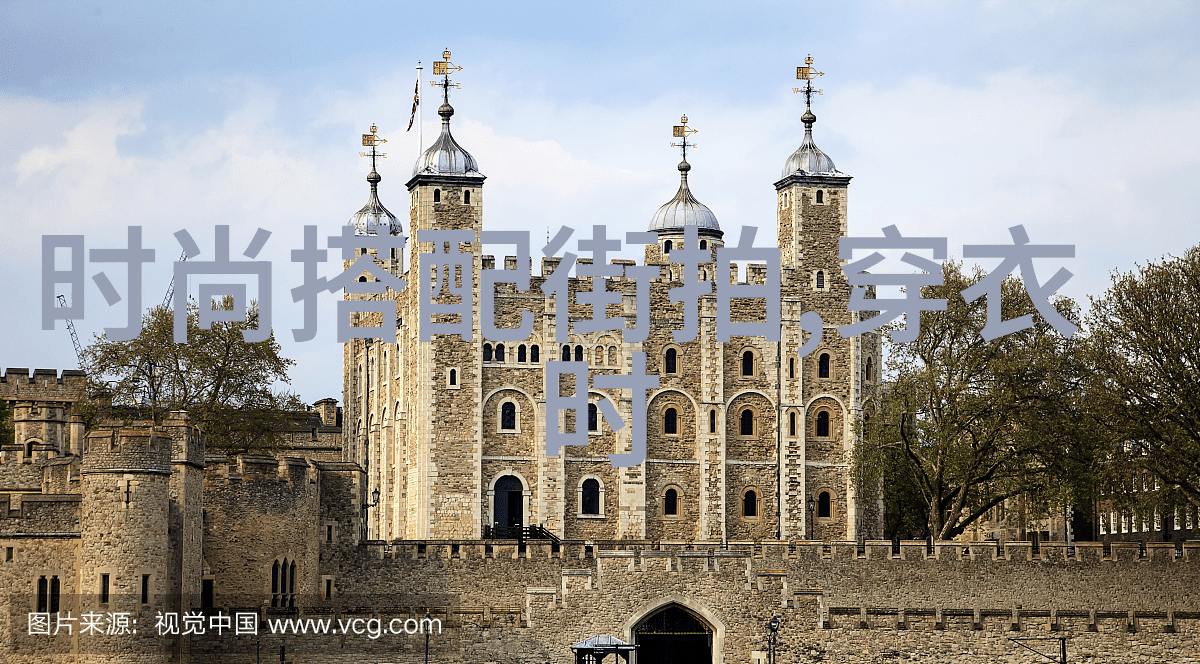时尚穿搭-明星同款阔腿裤图片街头时尚的新宠