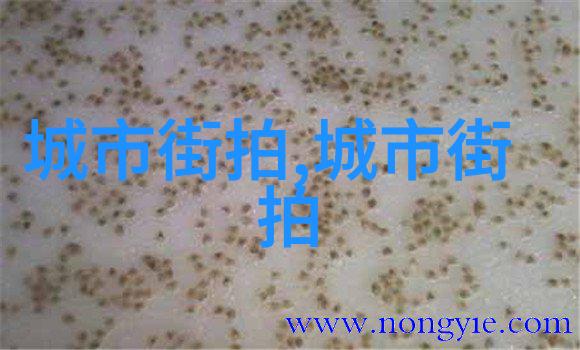 花颜策全文免费阅读我来给你分享一篇超级有趣的故事