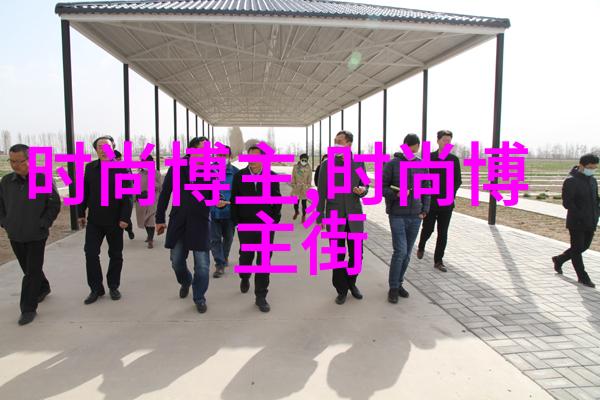 春光暖意下的海鸥表岁月正好向她表白