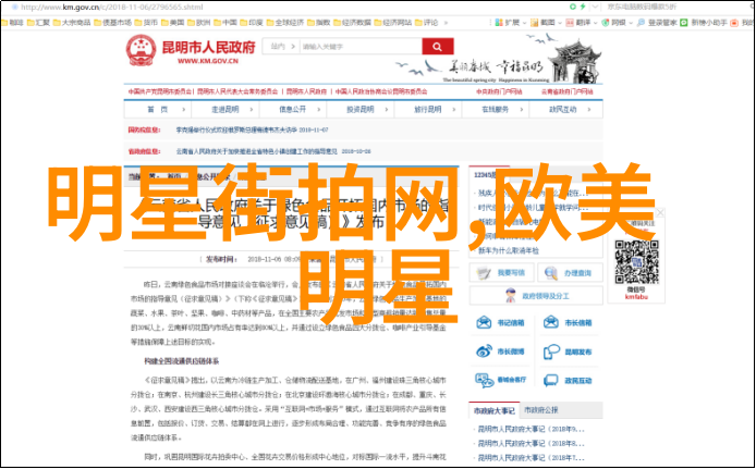 欧美明星时尚风采最新街拍潮流解析