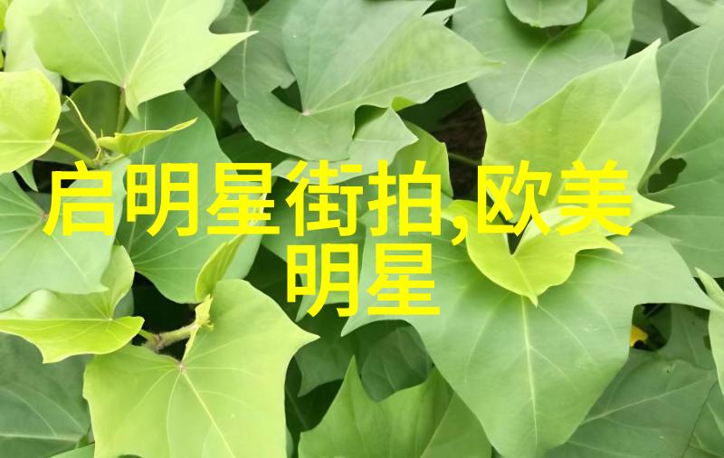 顾道长生探索传统与现代的文人精神