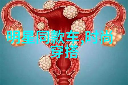 法国空乘-翱翔蓝天的艺术家探索法国空乘文化