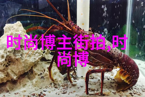 穿越成炮灰一份过分可爱的诅咒
