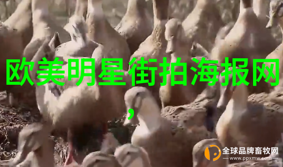 辞旧迎新才痛快网上配眼镜店铺让人物焕发新颜色图文