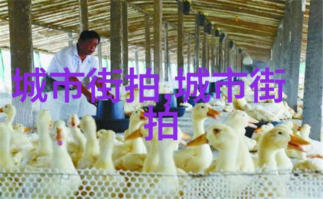 替身王妃穿越时空的双重生活